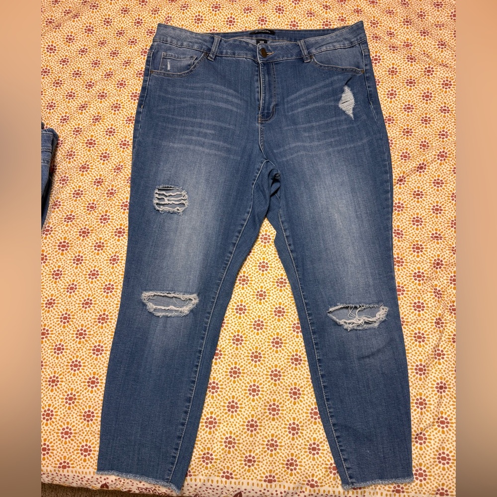 D. Jeans Classic Blue Denim Trousers